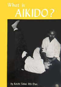 What is Aikido?